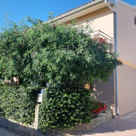 Studio Rocco Novigrad Istria Exterior foto